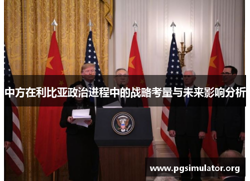 中方在利比亚政治进程中的战略考量与未来影响分析