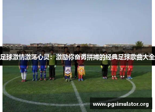 足球激情激荡心灵：激励你奋勇拼搏的经典足球歌曲大全