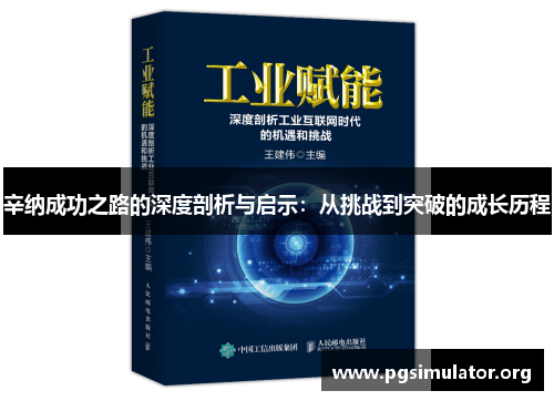 辛纳成功之路的深度剖析与启示：从挑战到突破的成长历程