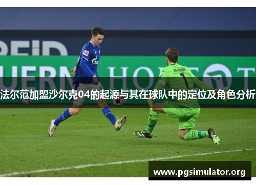 法尔范加盟沙尔克04的起源与其在球队中的定位及角色分析