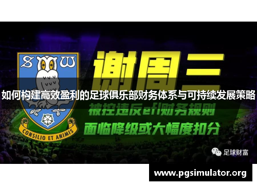 如何构建高效盈利的足球俱乐部财务体系与可持续发展策略