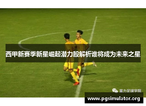 西甲新赛季新星崛起潜力股解析谁将成为未来之星